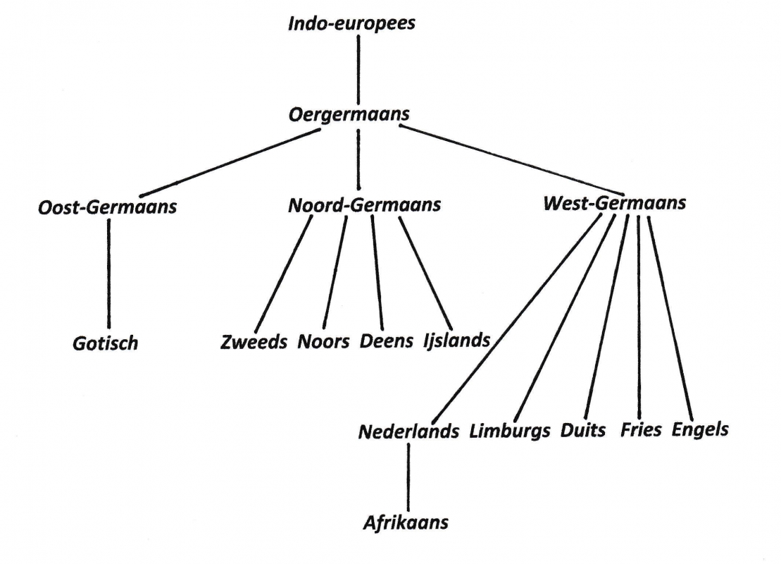 stamboomGermaans a
