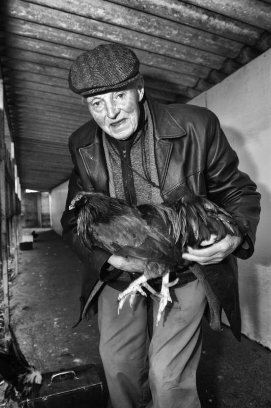 Expo Kiekenkot deel portretten