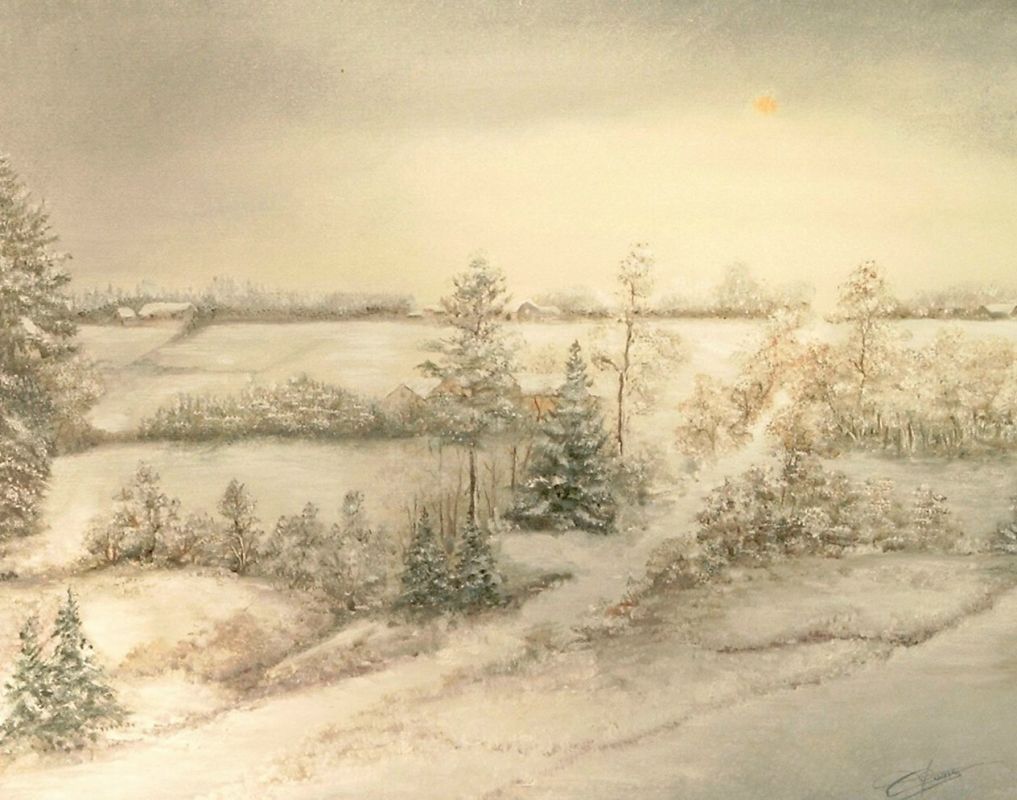 Sneeuwlandschap 5