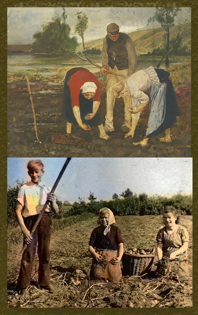 aardappelraapsters