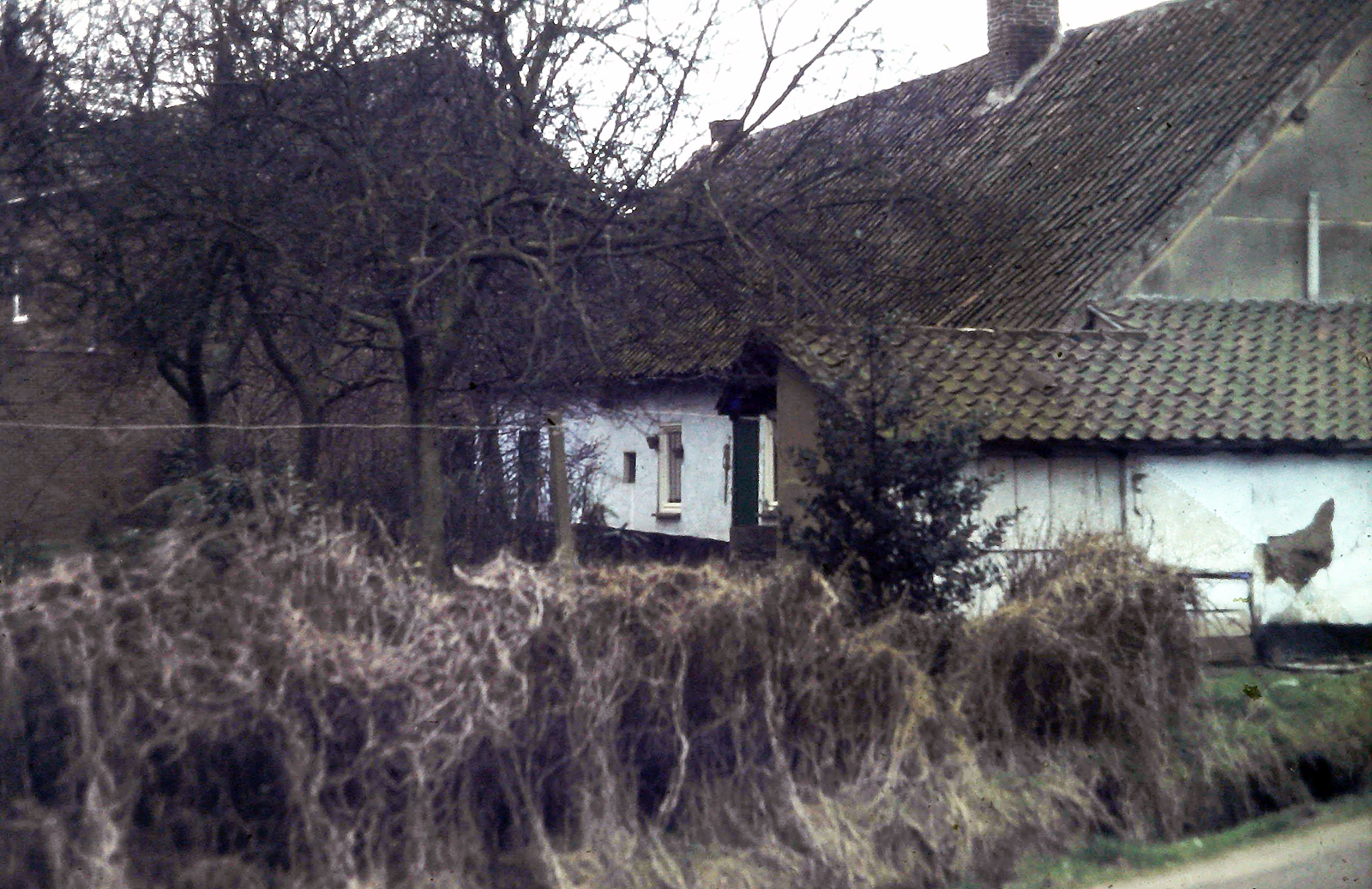 hoevemeelberg03