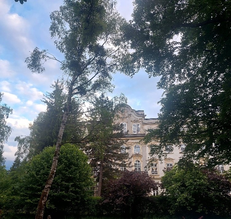 18 leopoldskron tussen bomen