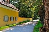 22 frohnburg gele muur