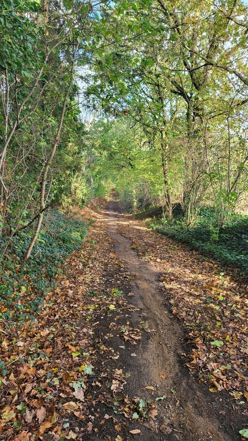 01 holleweg watermolenstraat