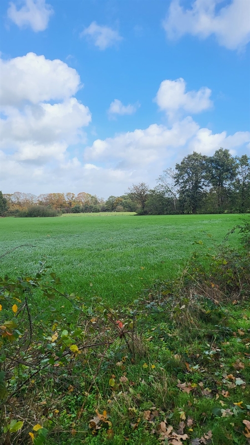 14 holleweg 2