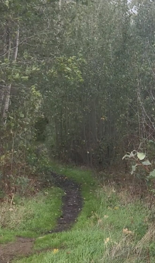21 wandelpad