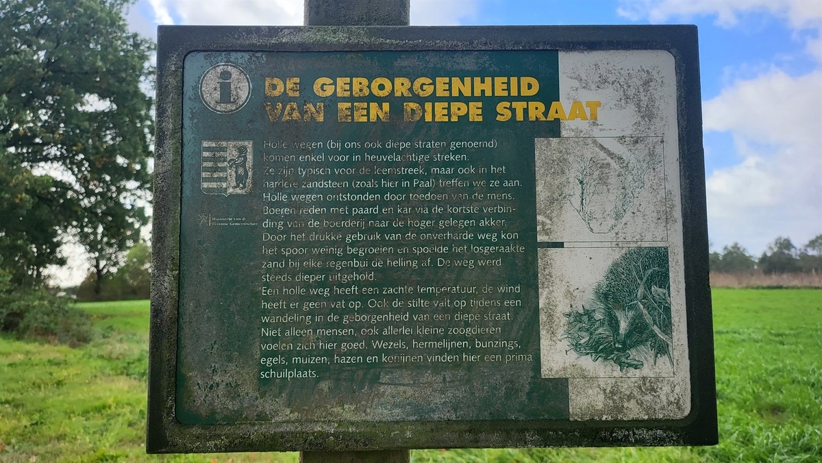 25 infobord diepe straat